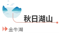 微信图片_20191018092208.png