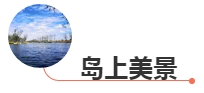 微信图片_20191018092728.png