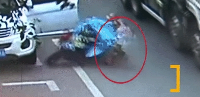 微信图片_20200520175036.gif