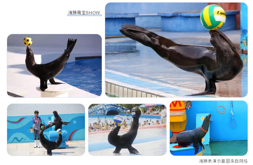 微信图片_20200522103715.png