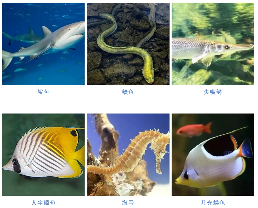 微信图片_20200522103950.png
