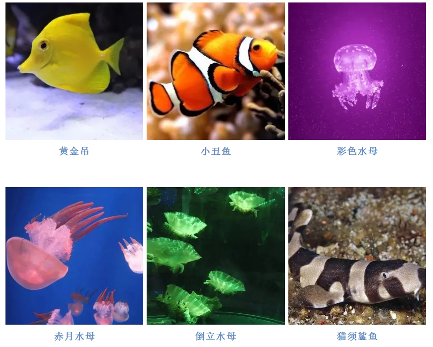 微信图片_20200522104006.png